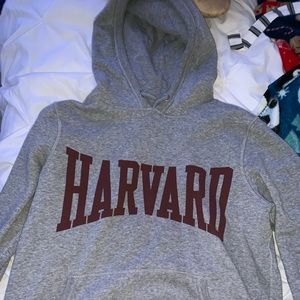 grey harvard sweatshirt